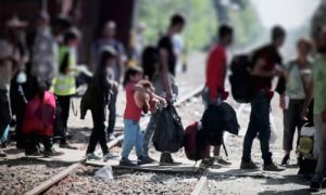 Migrazione e asilo: dialoghi sul Patto europeo